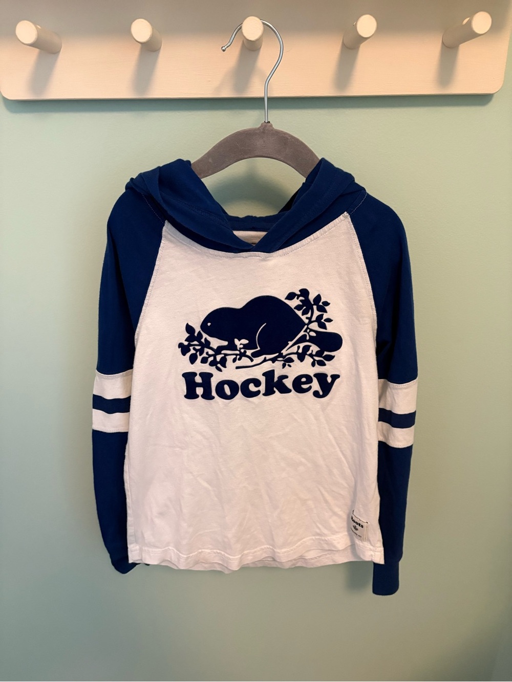 Roots Hooded Hockey Long Sleeve T-shirt